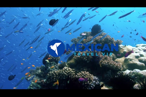 Dreams Aventuras Resort & Spa