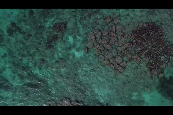 Secrets Wild Orchid Montego Bay